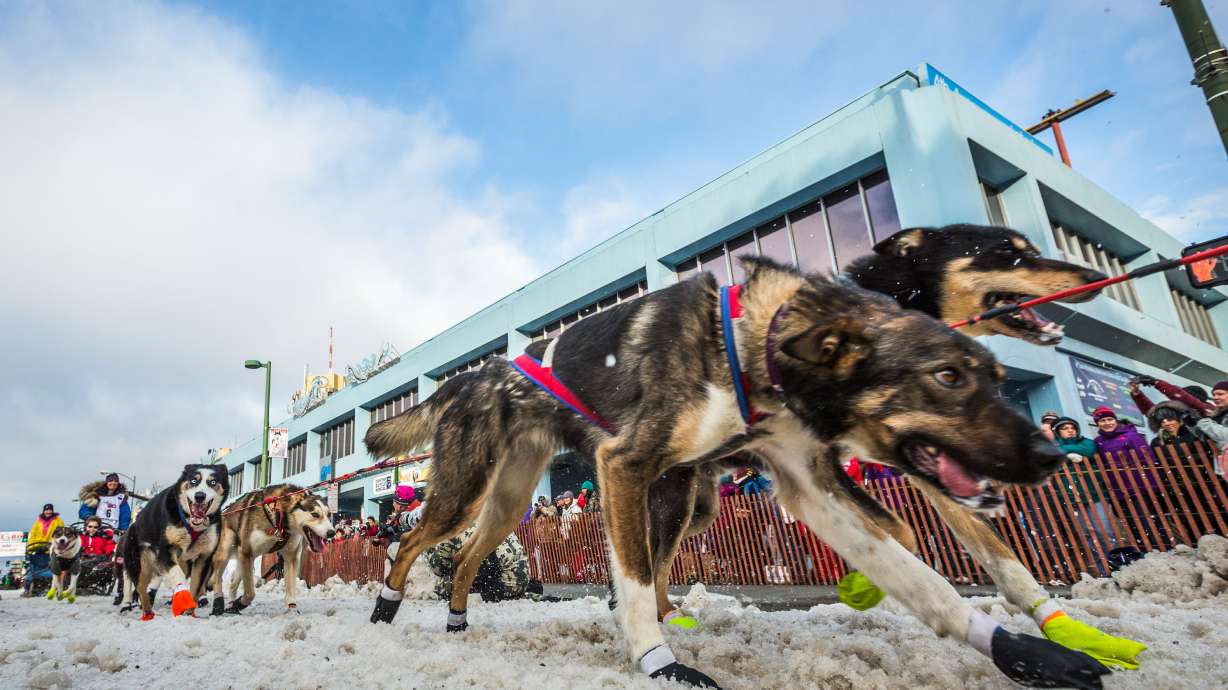 Mushers embark on new route across Alaska as Iditarod begins