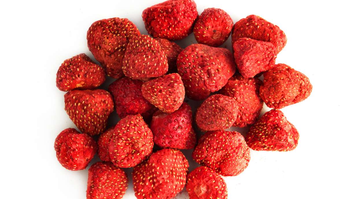 Food storage taste test: 9 companies, reviewed