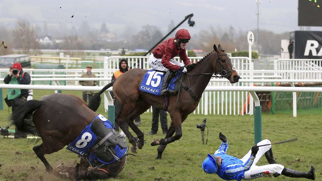 Dodging Bullets upstages Sprinter Sacre in Champion Chase