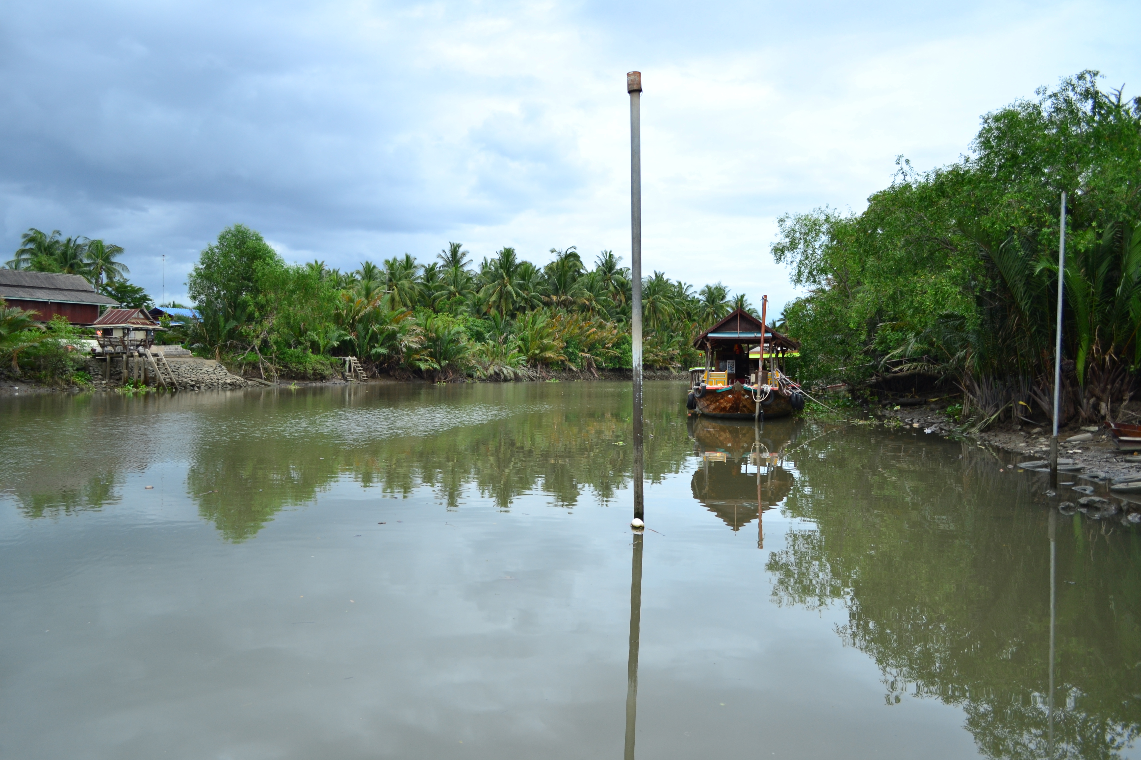 Giant stingray may be world's largest freshwater fish
