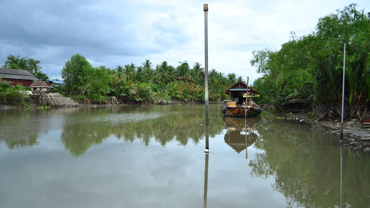 Giant stingray may be world's largest freshwater fish