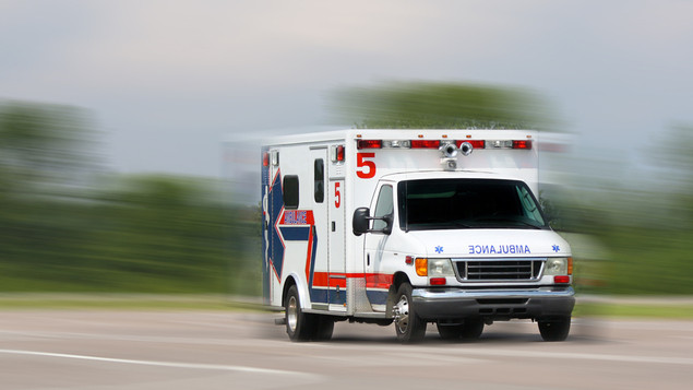 Hombre de UT muere mientras podaba al ser catapultado por una cuerda que se cortó