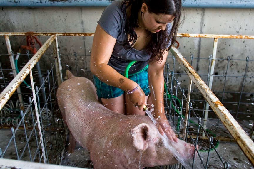 Utah's state FFA convention inspires students