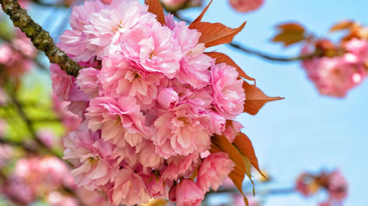 A gift for a grieving mother and 3 other moments that made someone's week