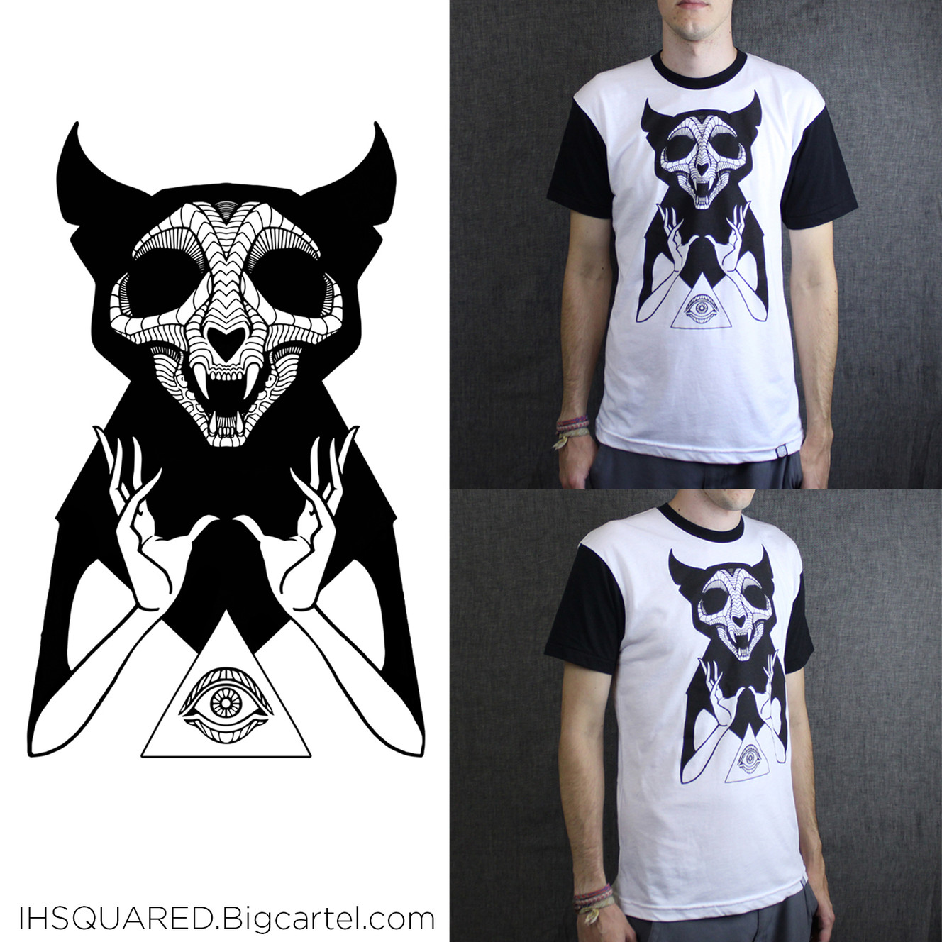 Local artist paints animals inspired by geometry in nature