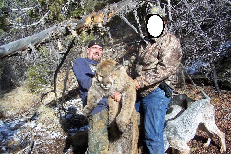 Lion poaching case 'most egregious' state wildlife investigator has seen