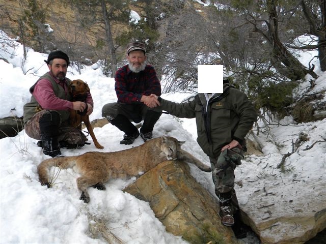 (Photo: Utah Division of Wildlife Resources)