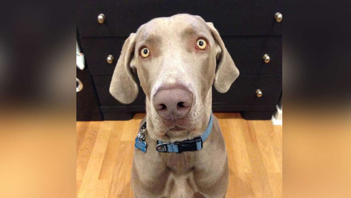 (Photo courtesy Sean Kendall)