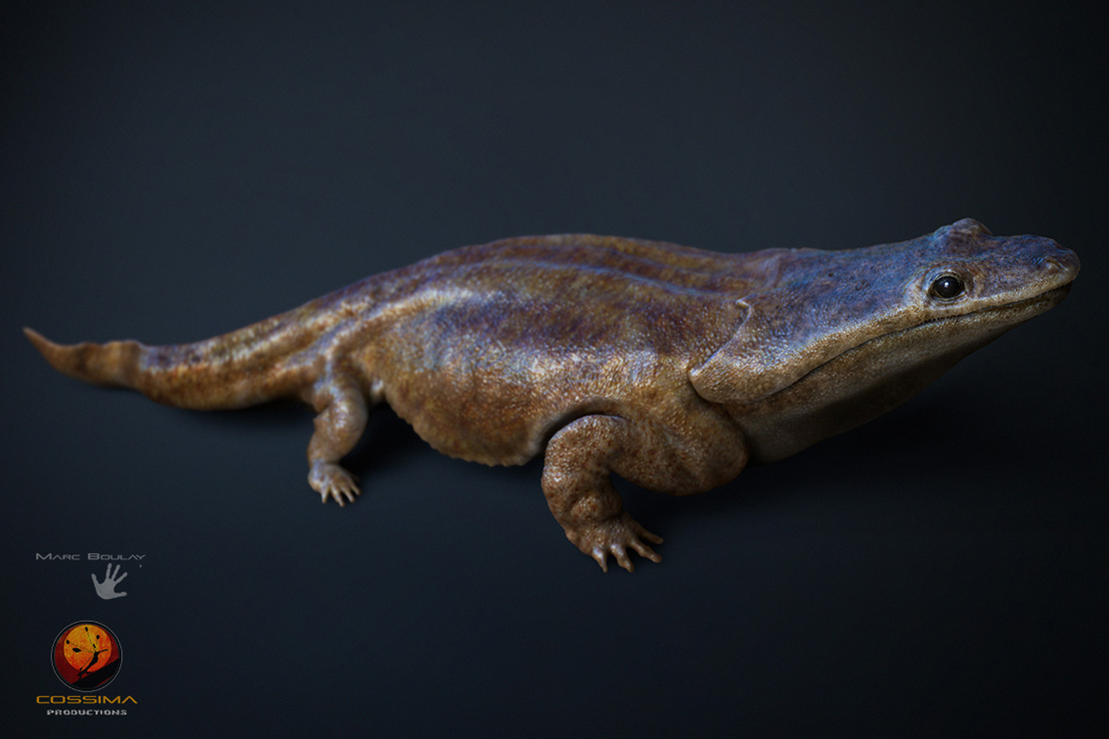 Researchers find fossil of 'Super Salamander' species