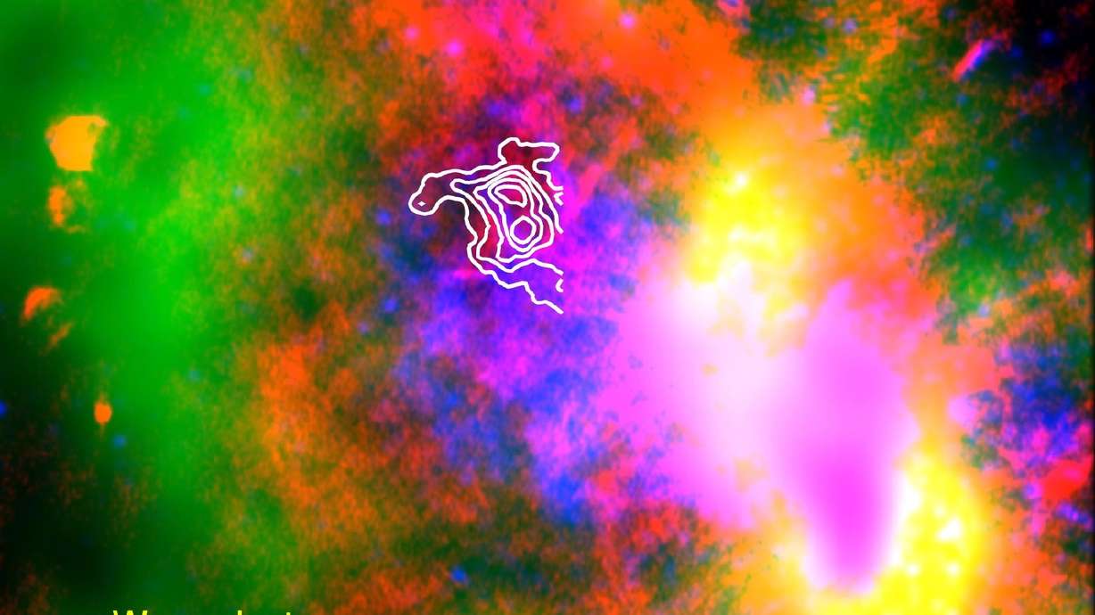 Supernova's dust could make thousands of Earths, NASA says