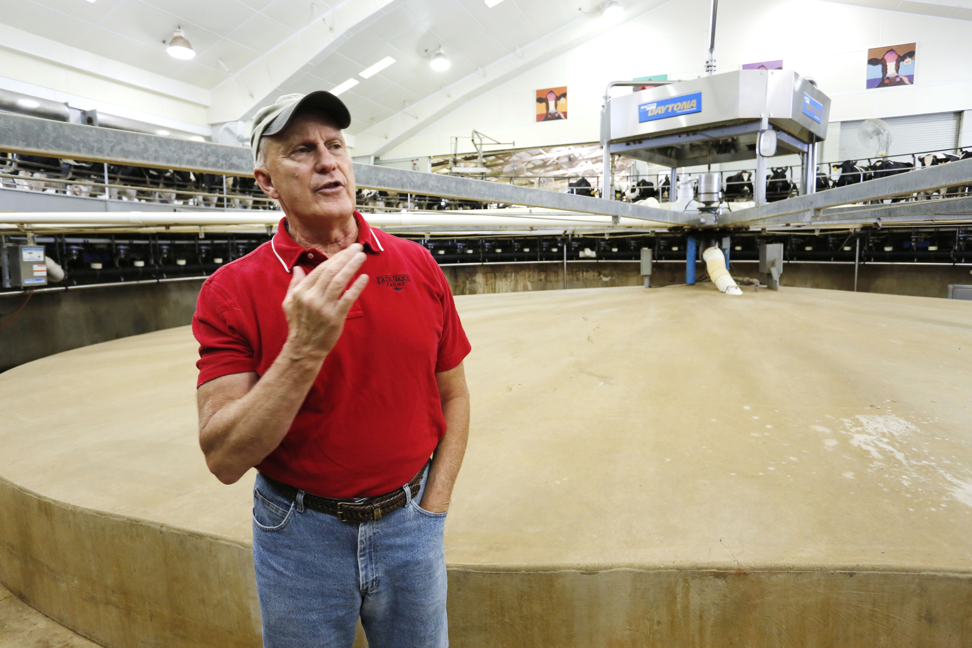 Dairy farms asked to consider breeding no-horn cows