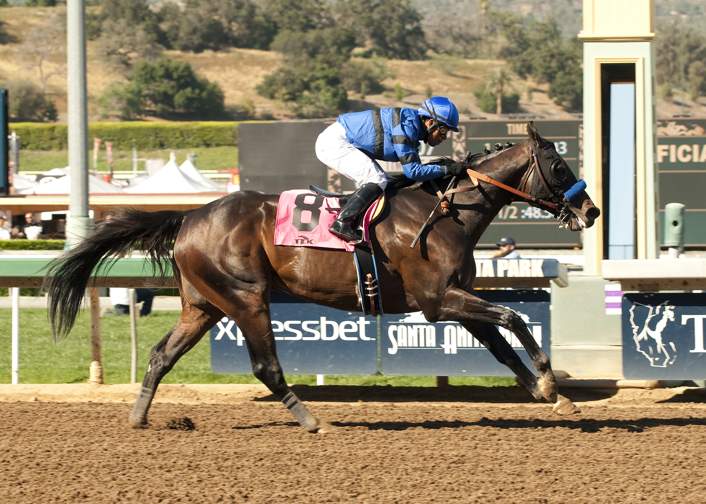 Sky Kingdom wins Tokyo City Cup at Santa Anita