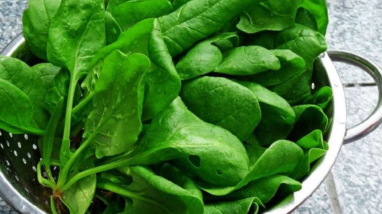 University of Utah commits to buying more local food