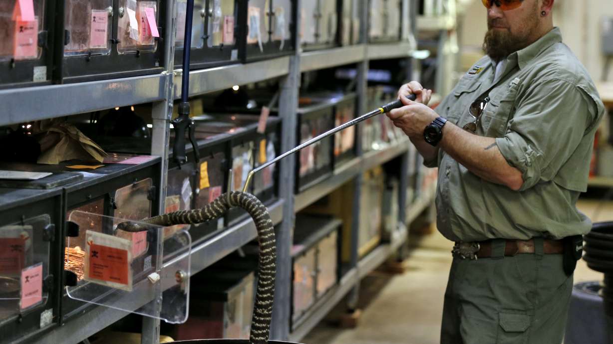 When snakes bite, Dallas Zoo comes to the rescue