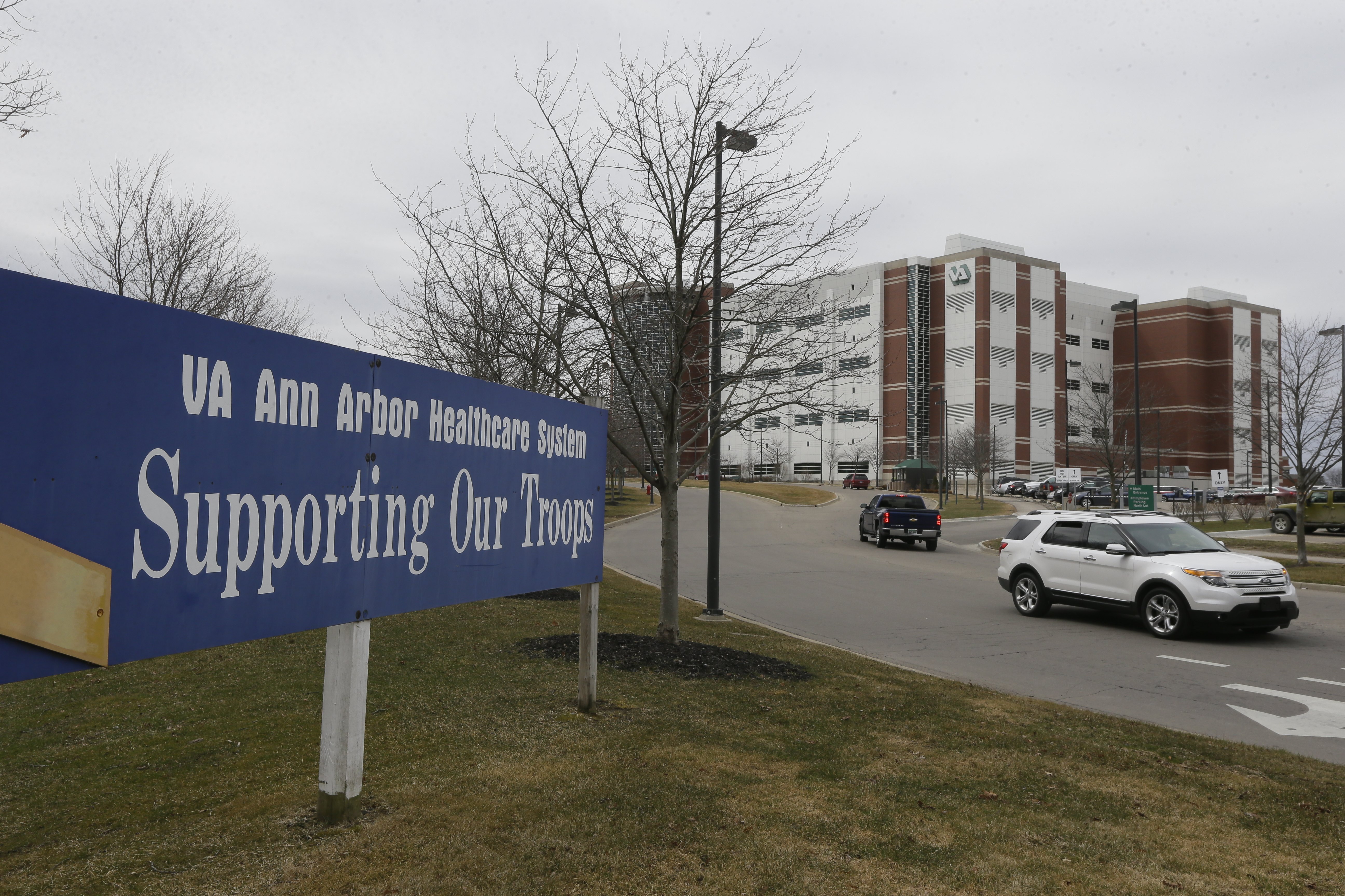 Michigan's veterans' health care facilities performing well