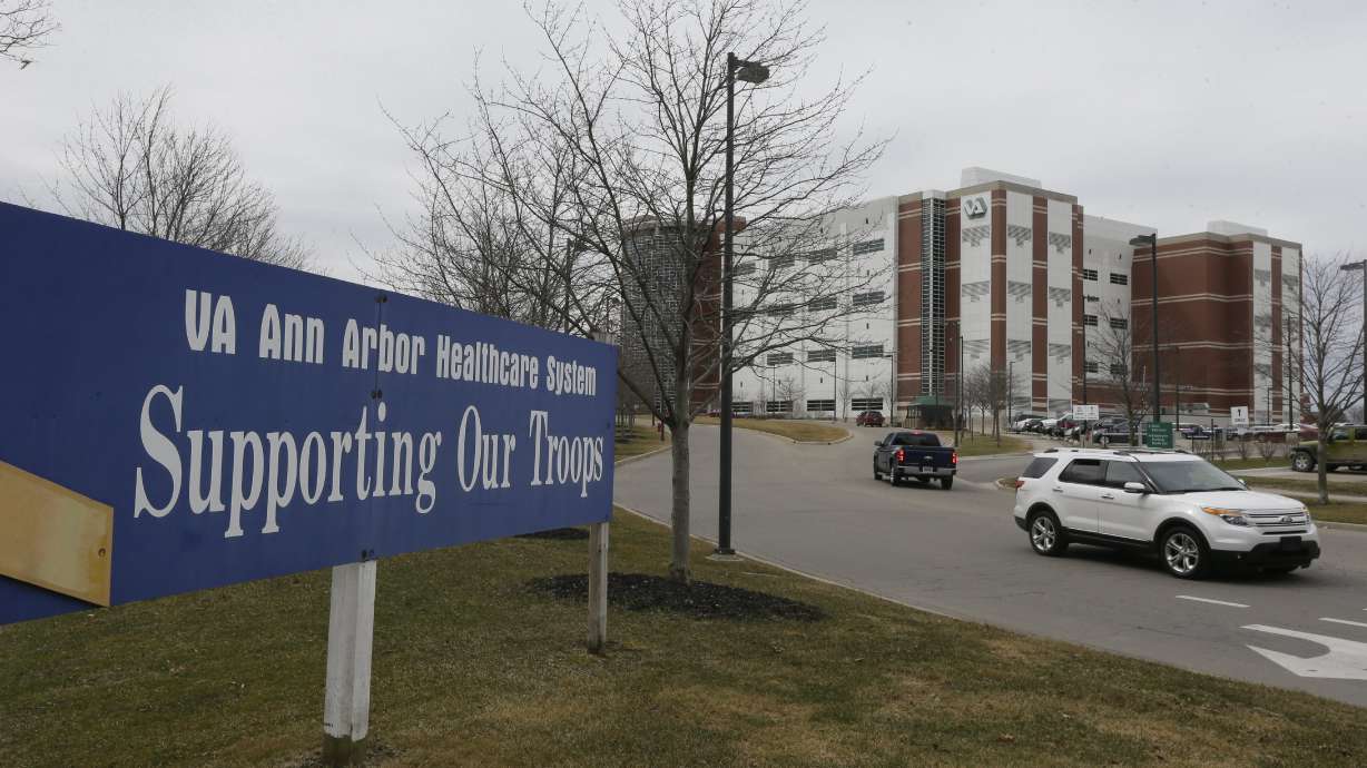 Michigan's veterans' health care facilities performing well