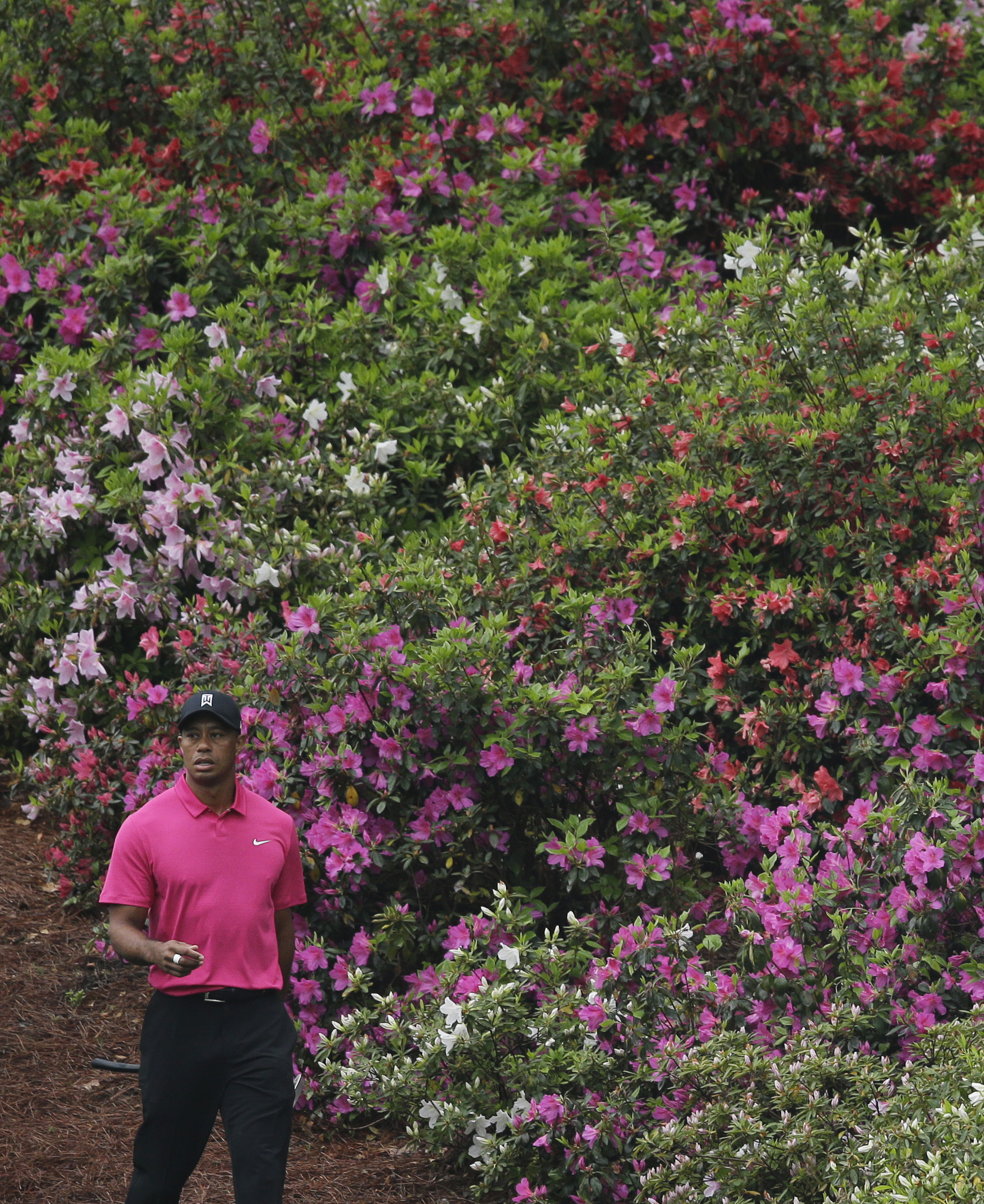 Tiger Woods back at the Masters and expecting to win