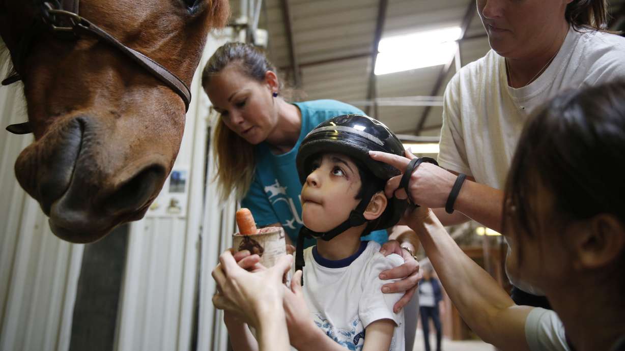 North Texas equine therapy agency expands reach