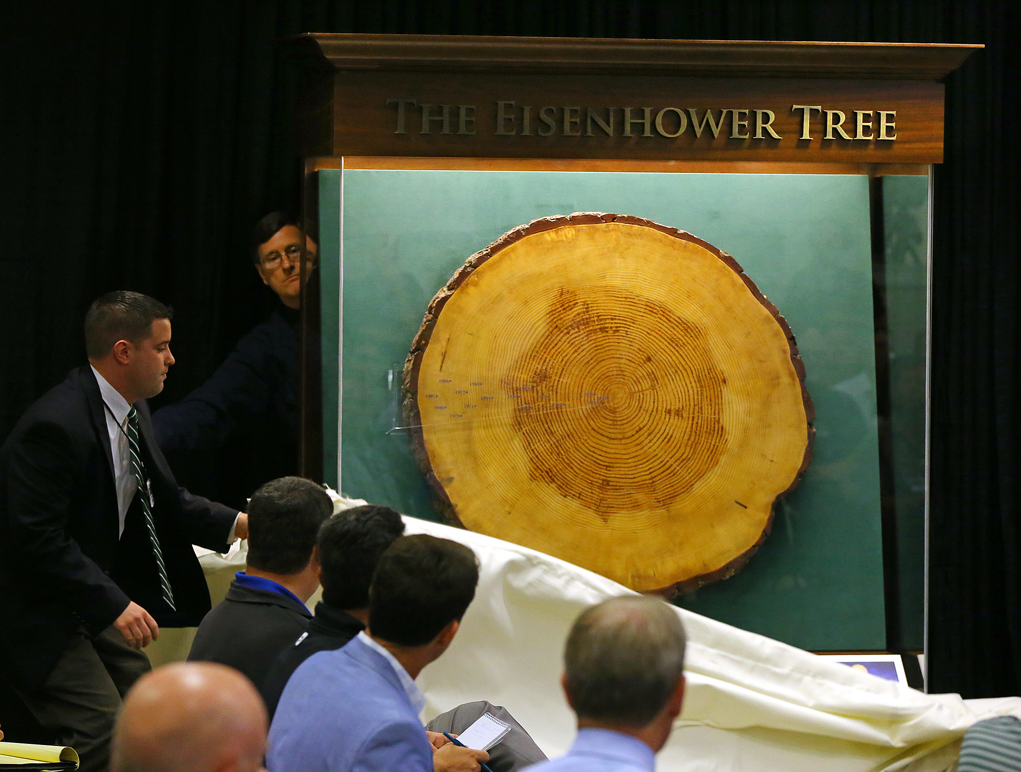 Piece of Eisenhower Tree heading to presidential library