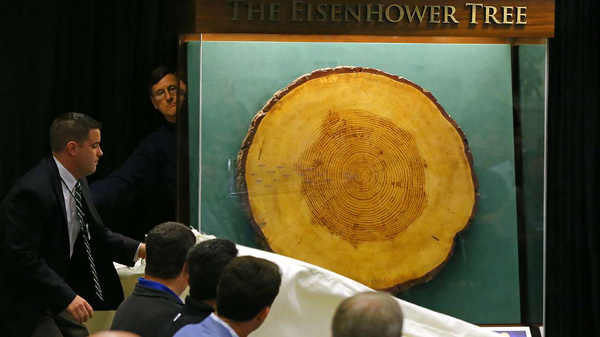 Piece of Eisenhower Tree heading to presidential library