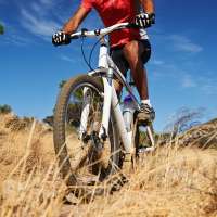 Unauthorized bike trails on Timpanogos Wildlife Management Area to be removed this weekend