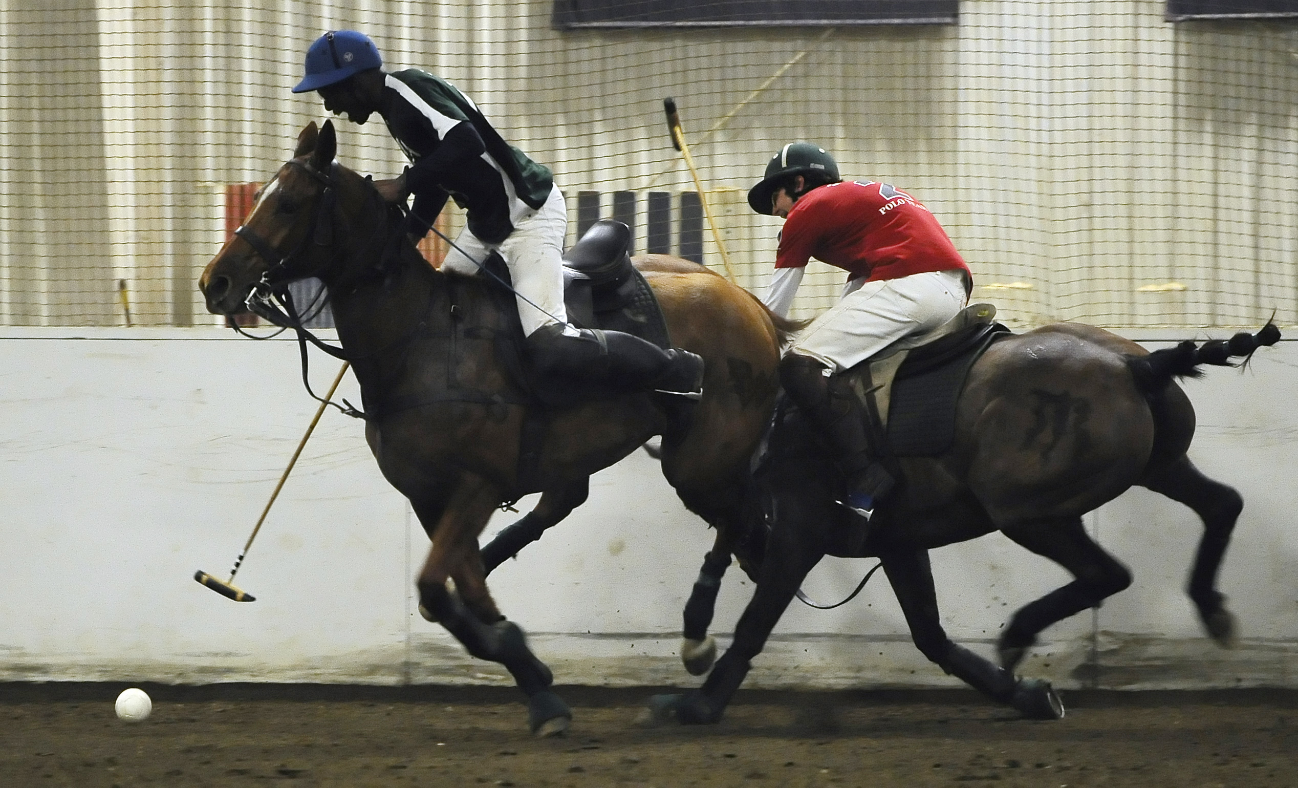 Polo not just for rich and famous, college players say