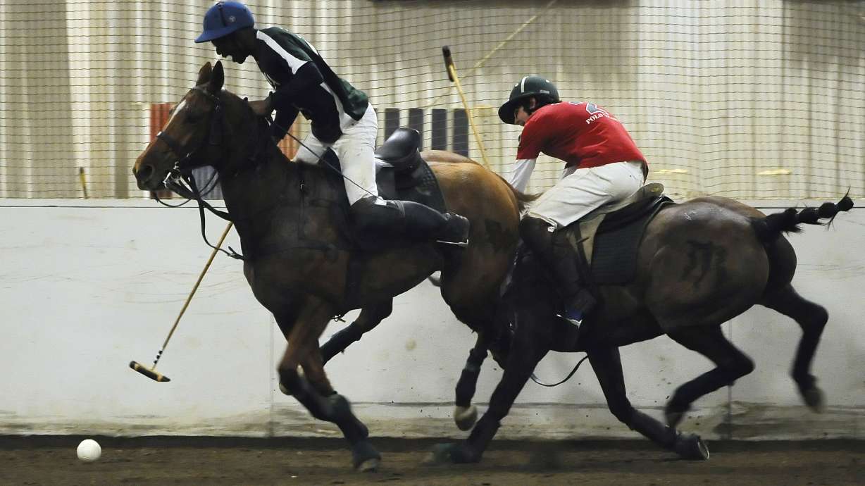 Polo not just for rich and famous, college players say