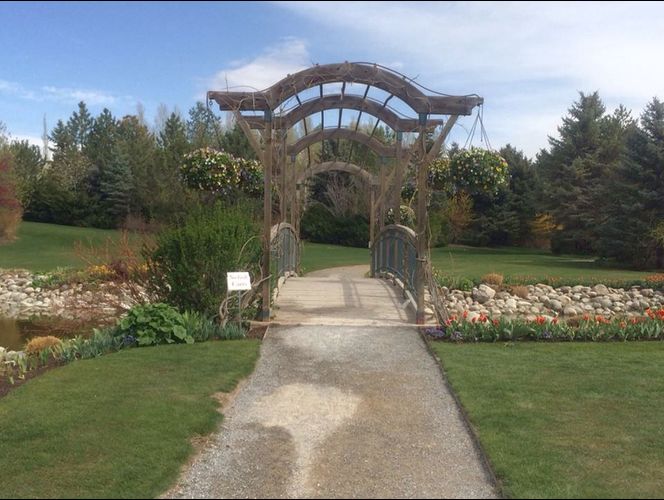 El festival de tulipanes más hermoso del mundo abre sus puertas en UT 