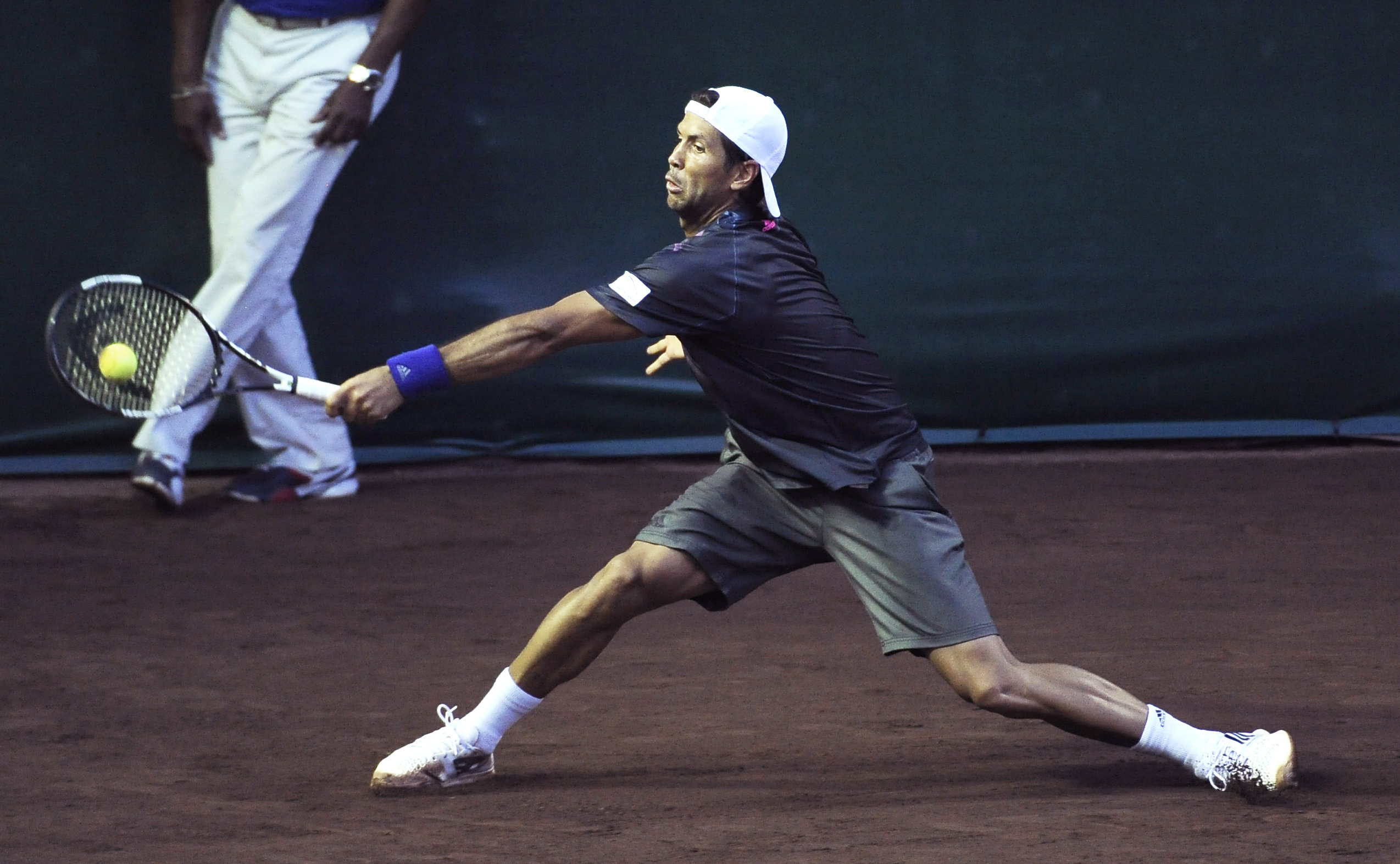 Defending champion Fernando Verdasco advances