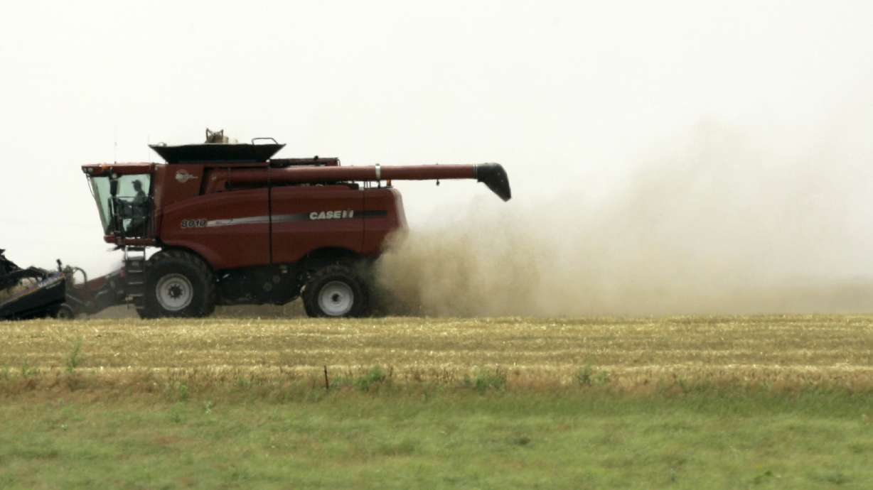 Paper towels, toilet tissue latest uses for wheat straw