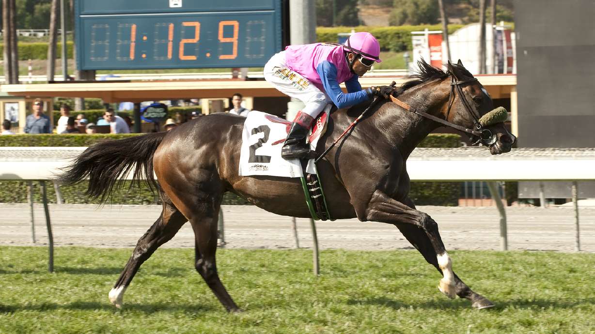 Masochistic wins Kona Gold; Home Journey wins Las Cinegas