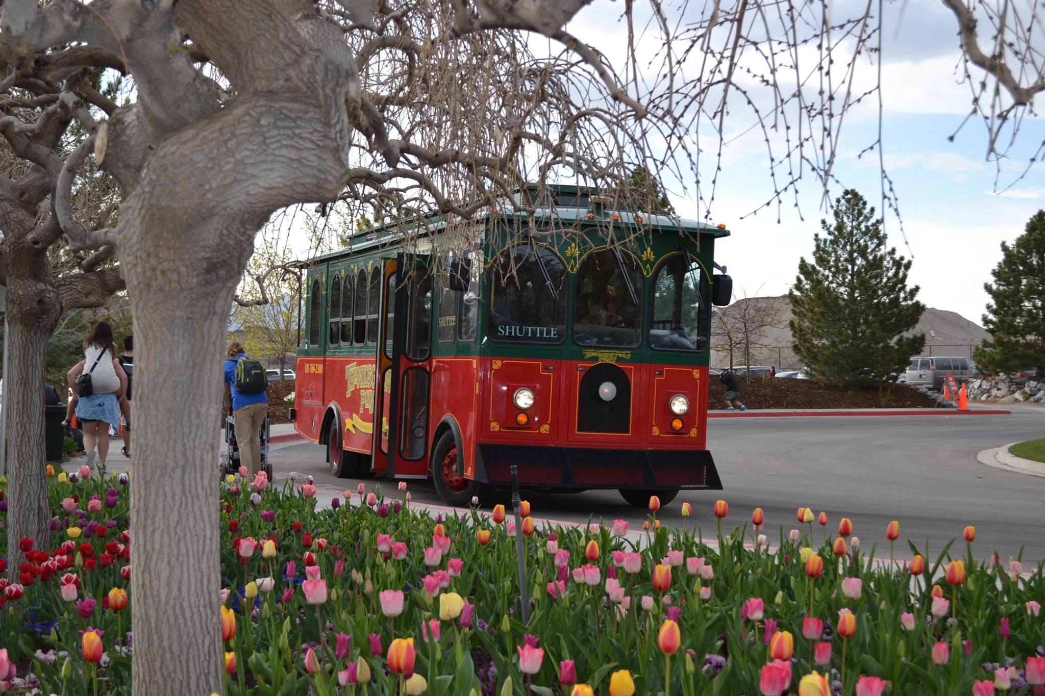 El festival de tulipanes en Thanksgiving Point deslumbra con su belleza