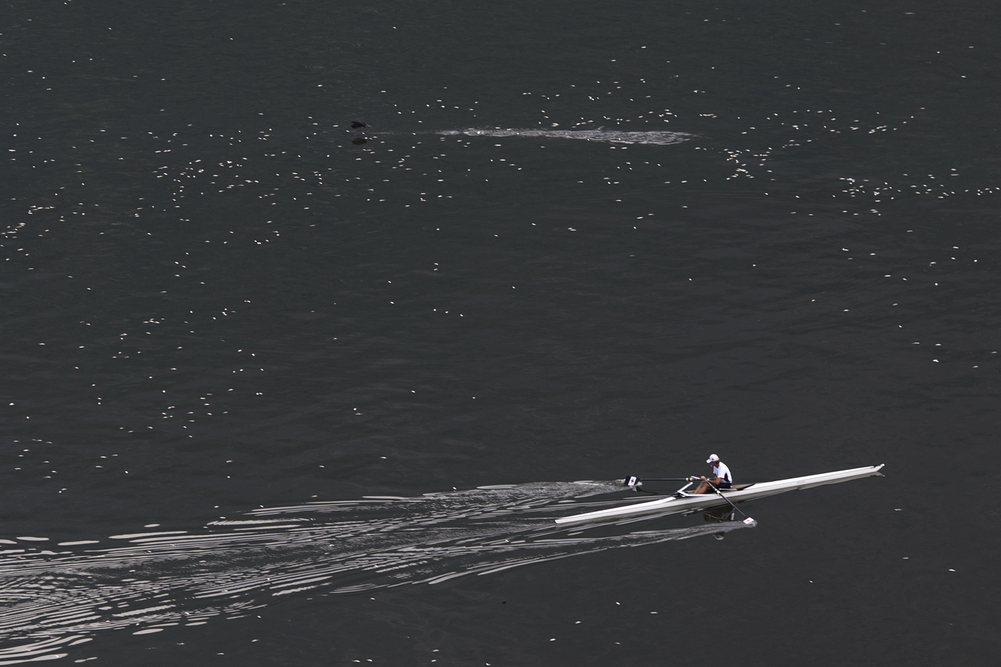 Rio Olympic head says venue with fish die-off will be safe