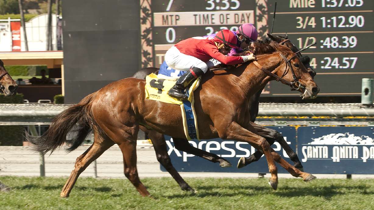 Queen of The Sand wins Santa Barbara Handicap at Santa Anita