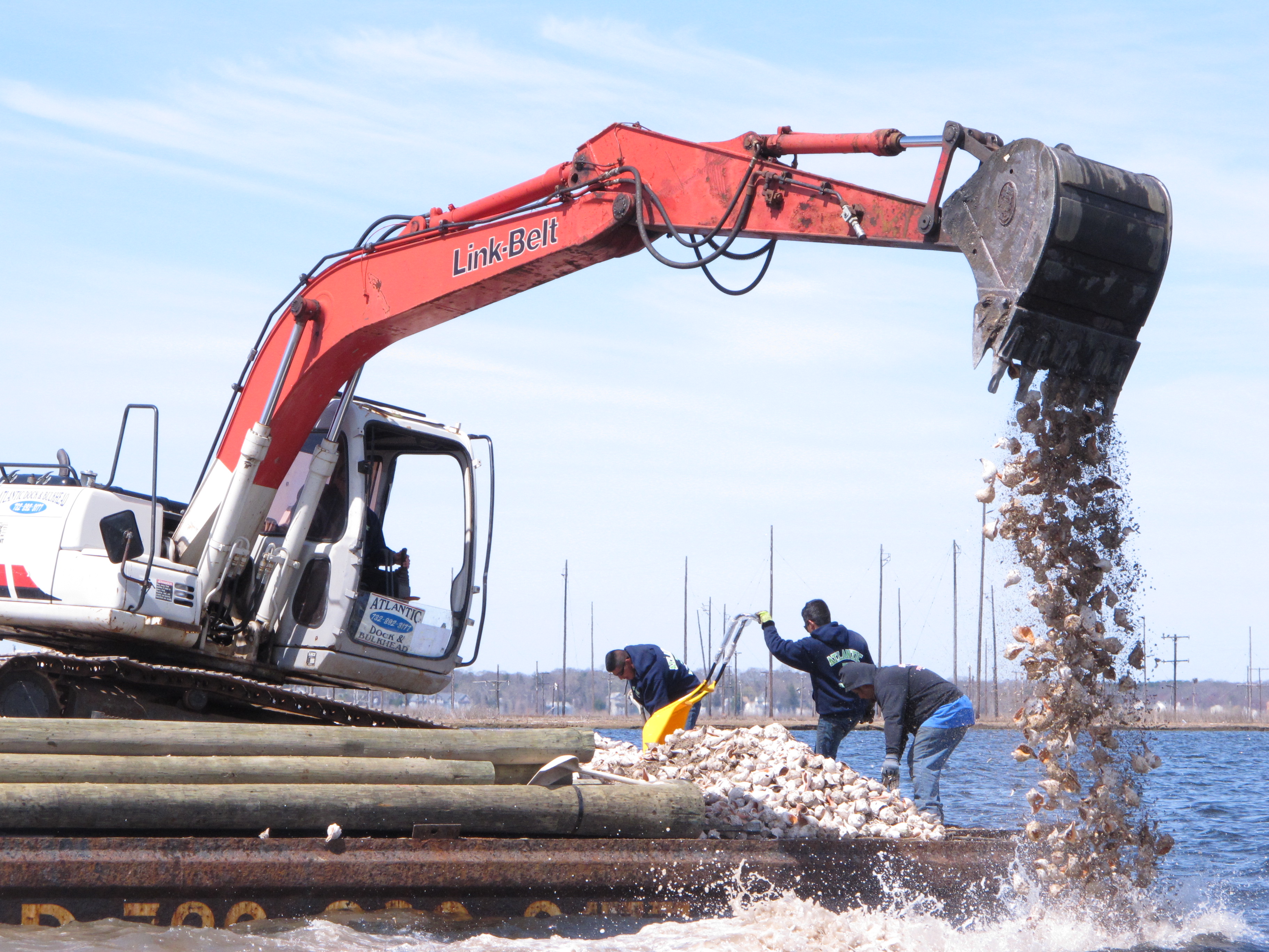 Environmentalists re-establishing Barnegat Bay oyster colony