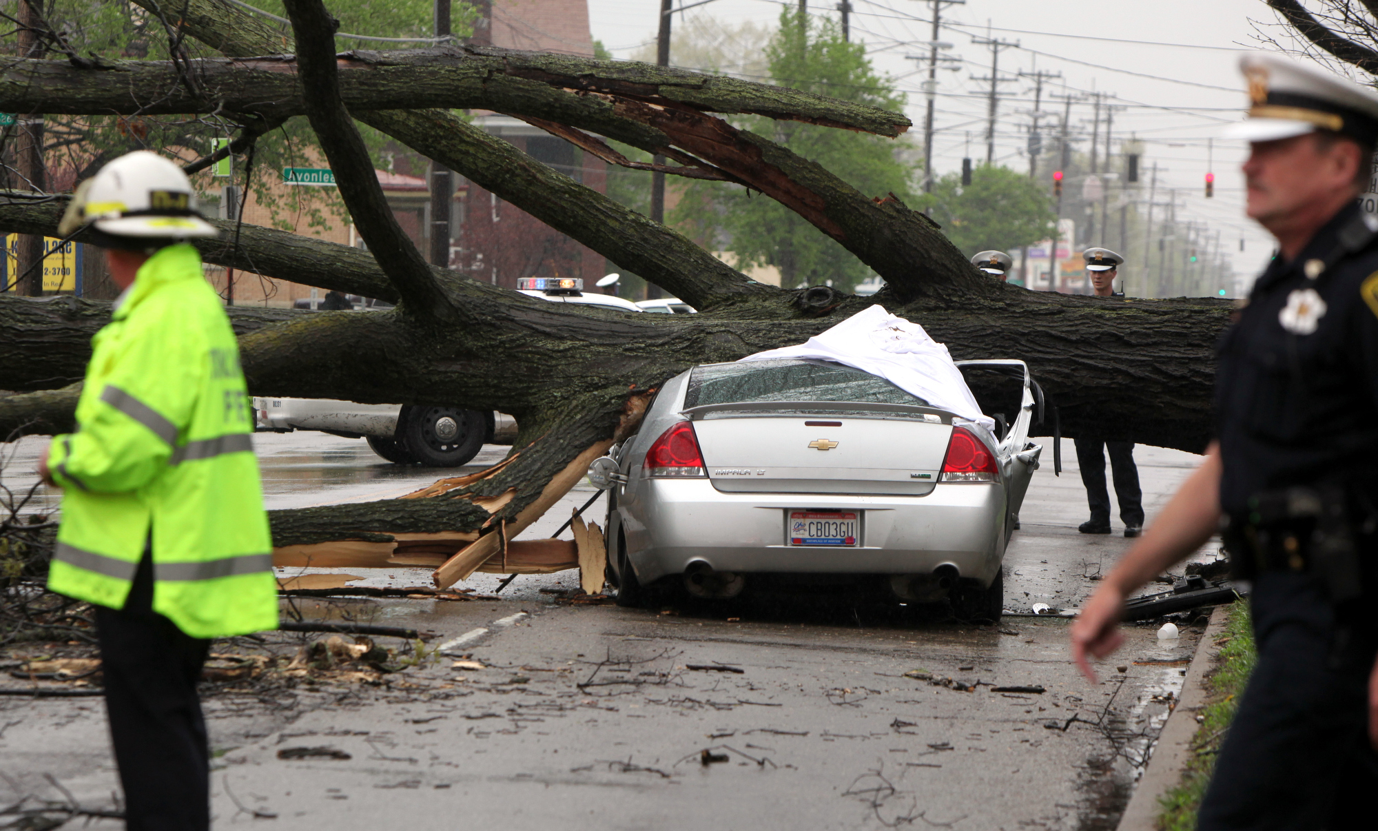 Tree that killed Ohio driver marked for eventual removal