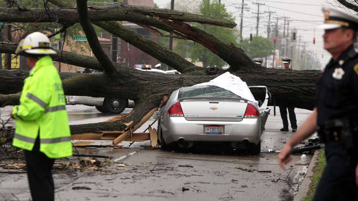 Tree that killed Ohio driver marked for eventual removal