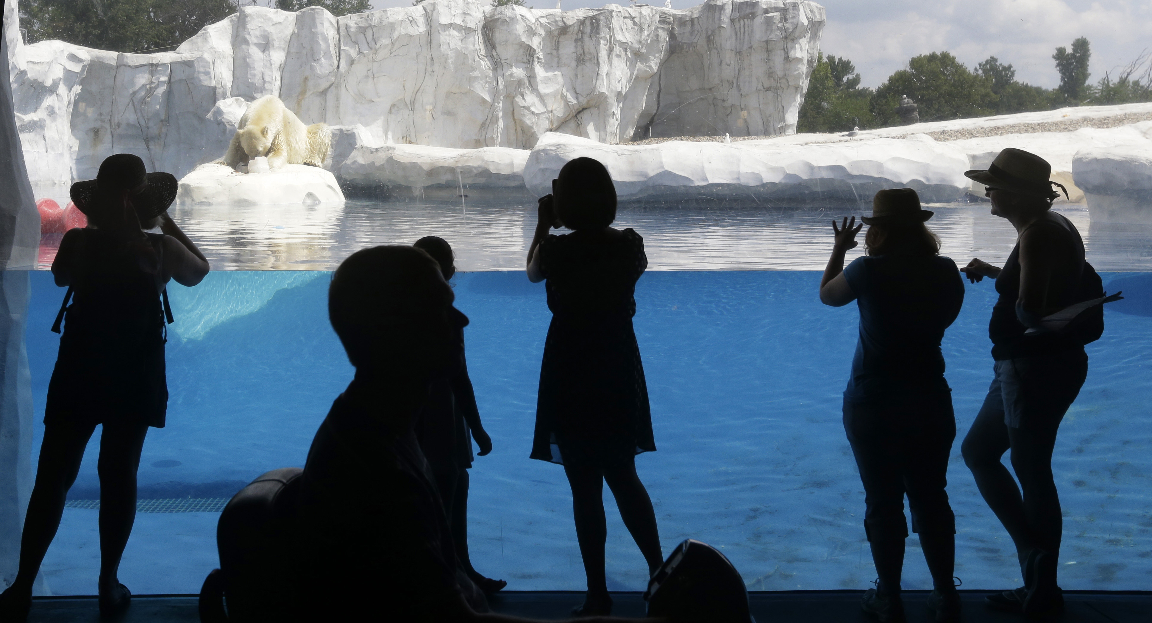 Detroit Zoo to turn manure from its animals into power