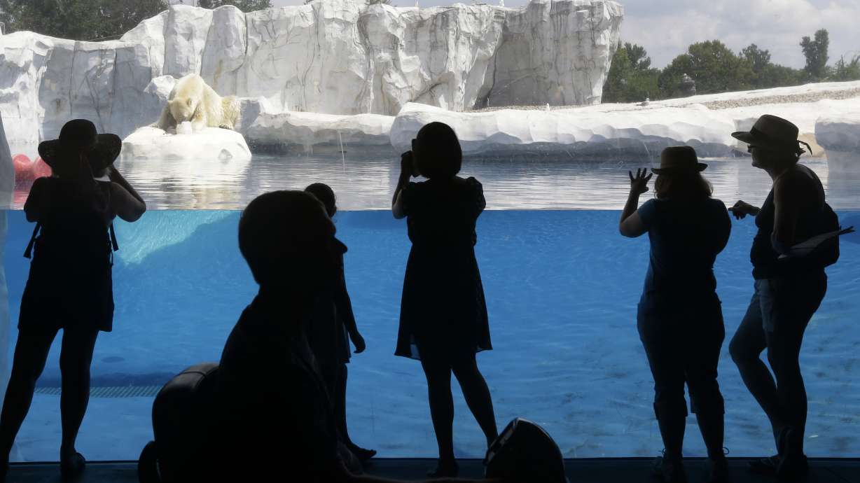 Detroit Zoo to turn manure from its animals into power