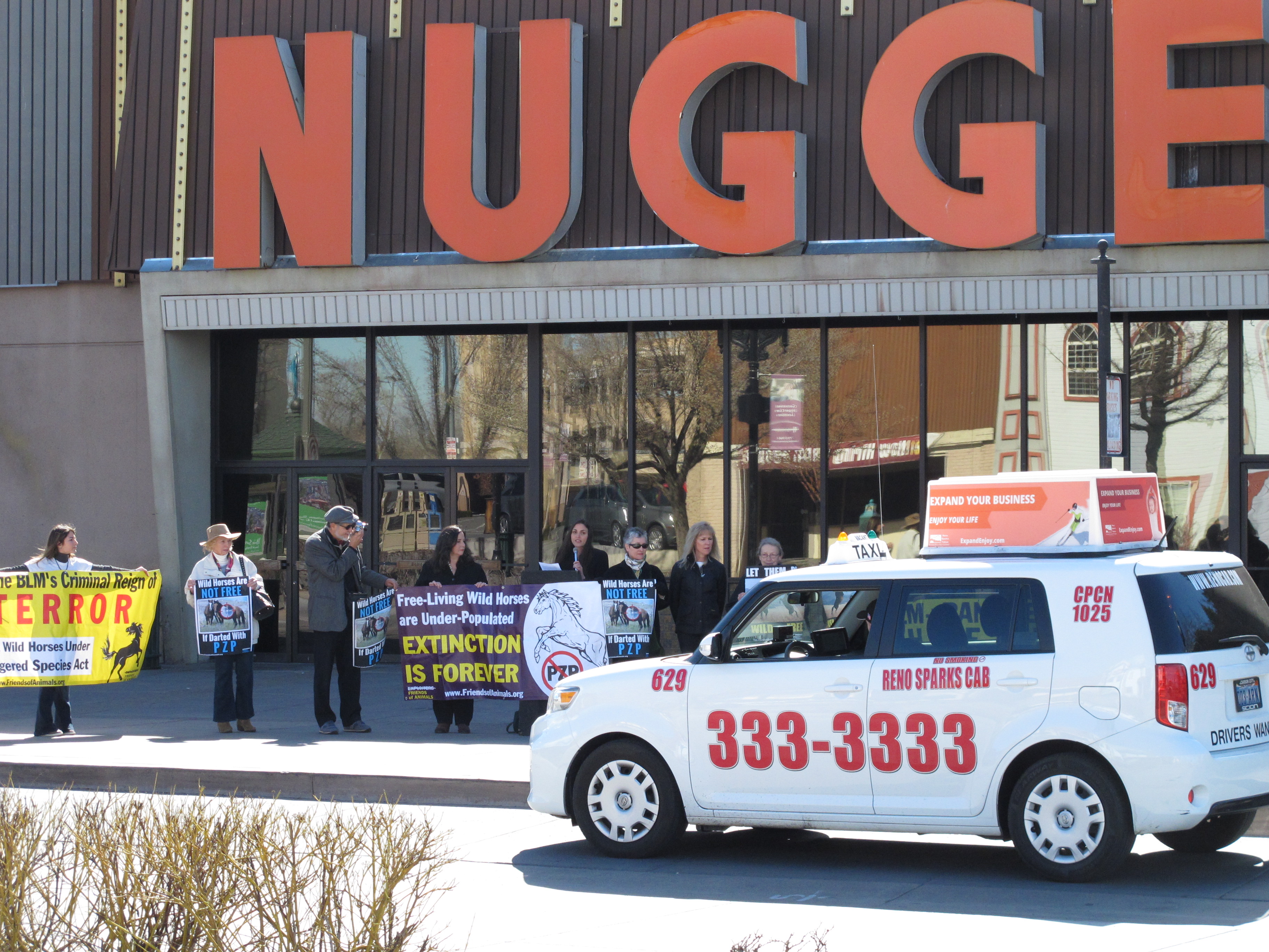 Wild horse advocates disagree on contraceptives for mustangs