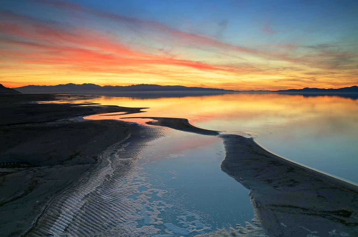 Photo credit: Shutterstock