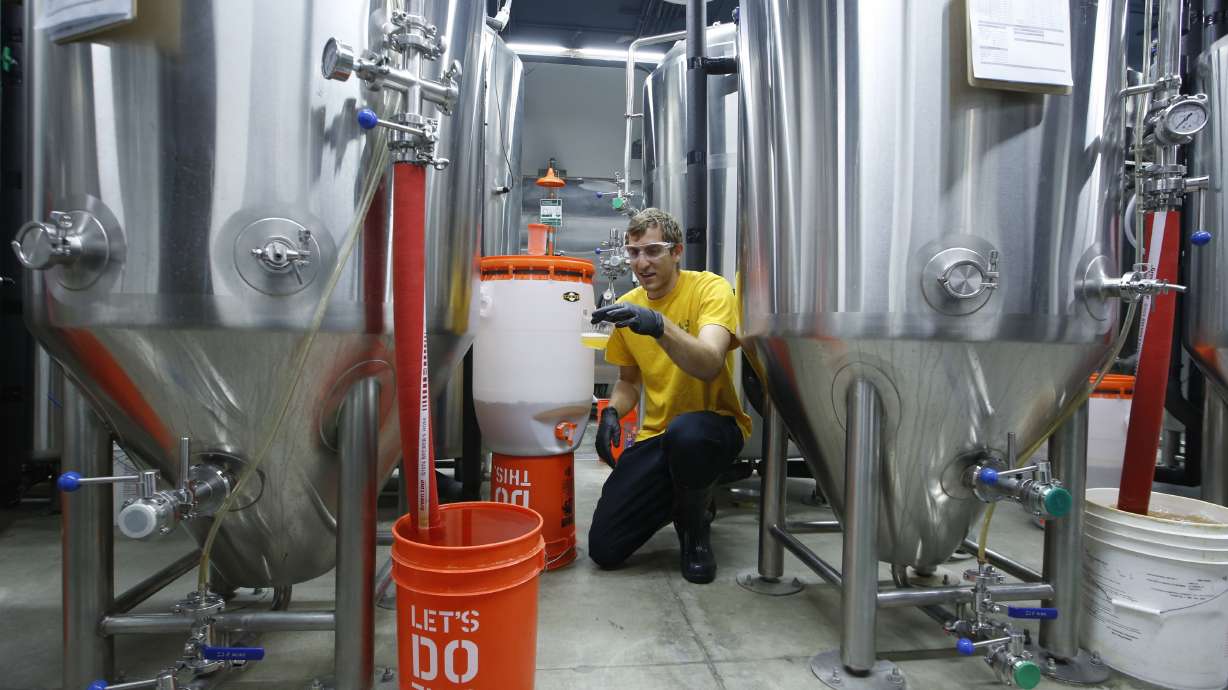 BYOB: It's brew your own beer at some colleges