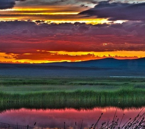 Breathtaking photos to celebrate Find Your Park, Arbor Day