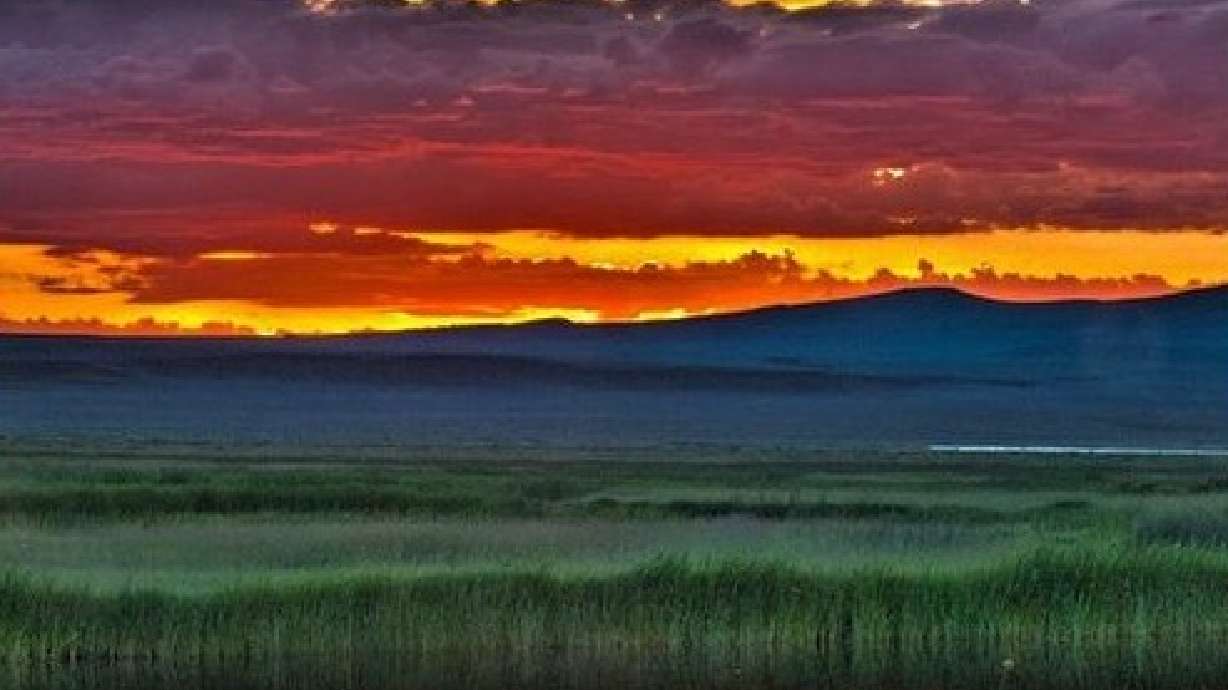 Breathtaking photos to celebrate Find Your Park, Arbor Day