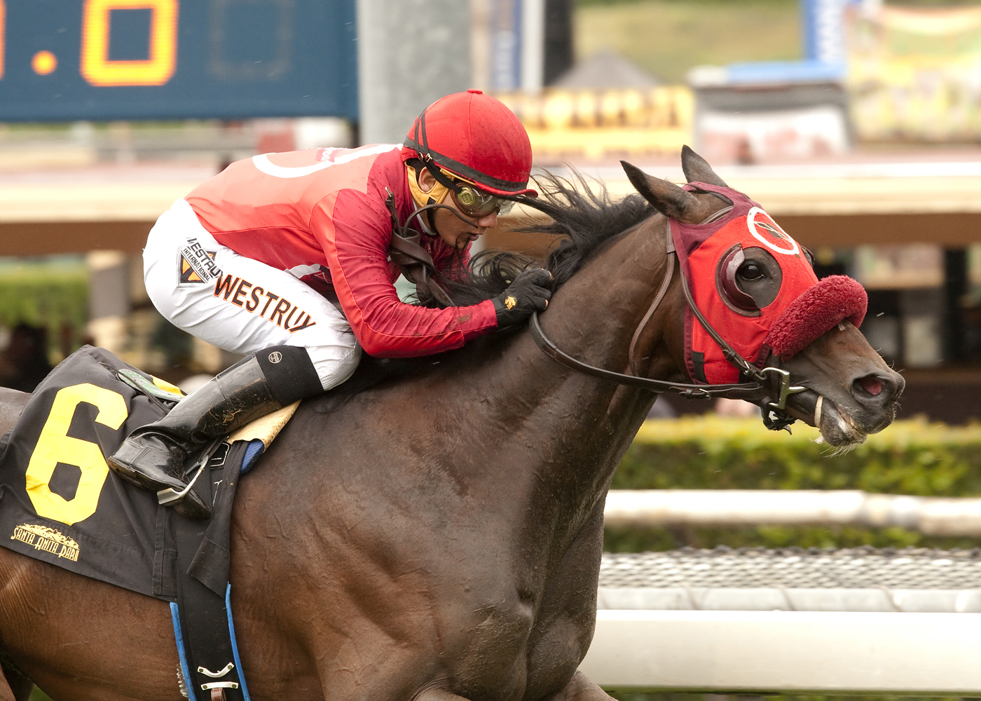 Si Sage wins $100,000 Last Tycoon Stakes at Santa Anita