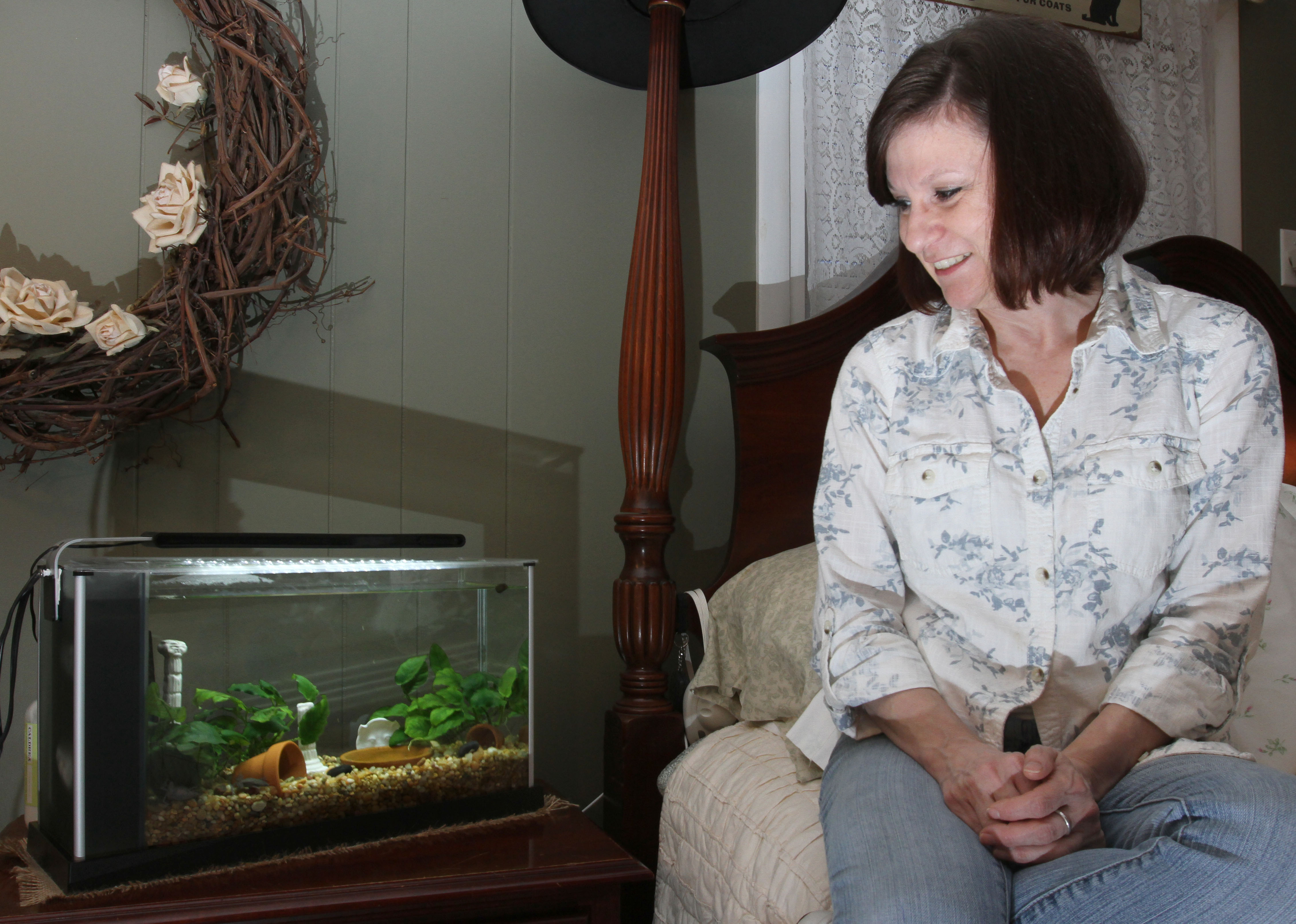 Owensboro woman breeds dwarf frogs as pets