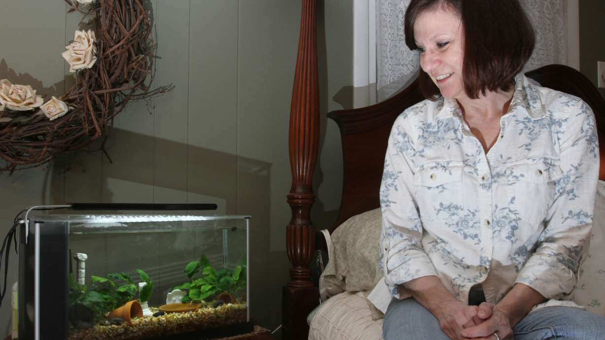 Owensboro woman breeds dwarf frogs as pets