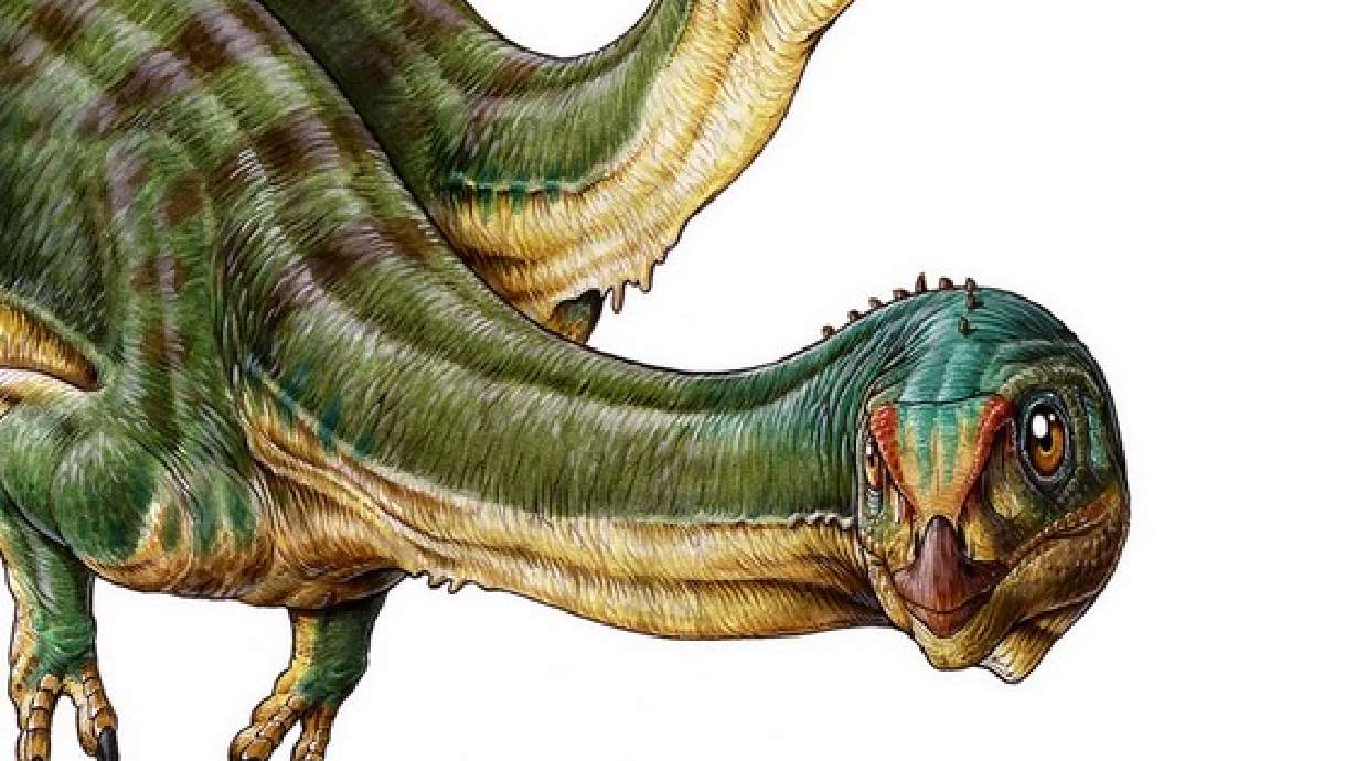 7-year-old boy discovers ‘platypus’ of dinosaurs
