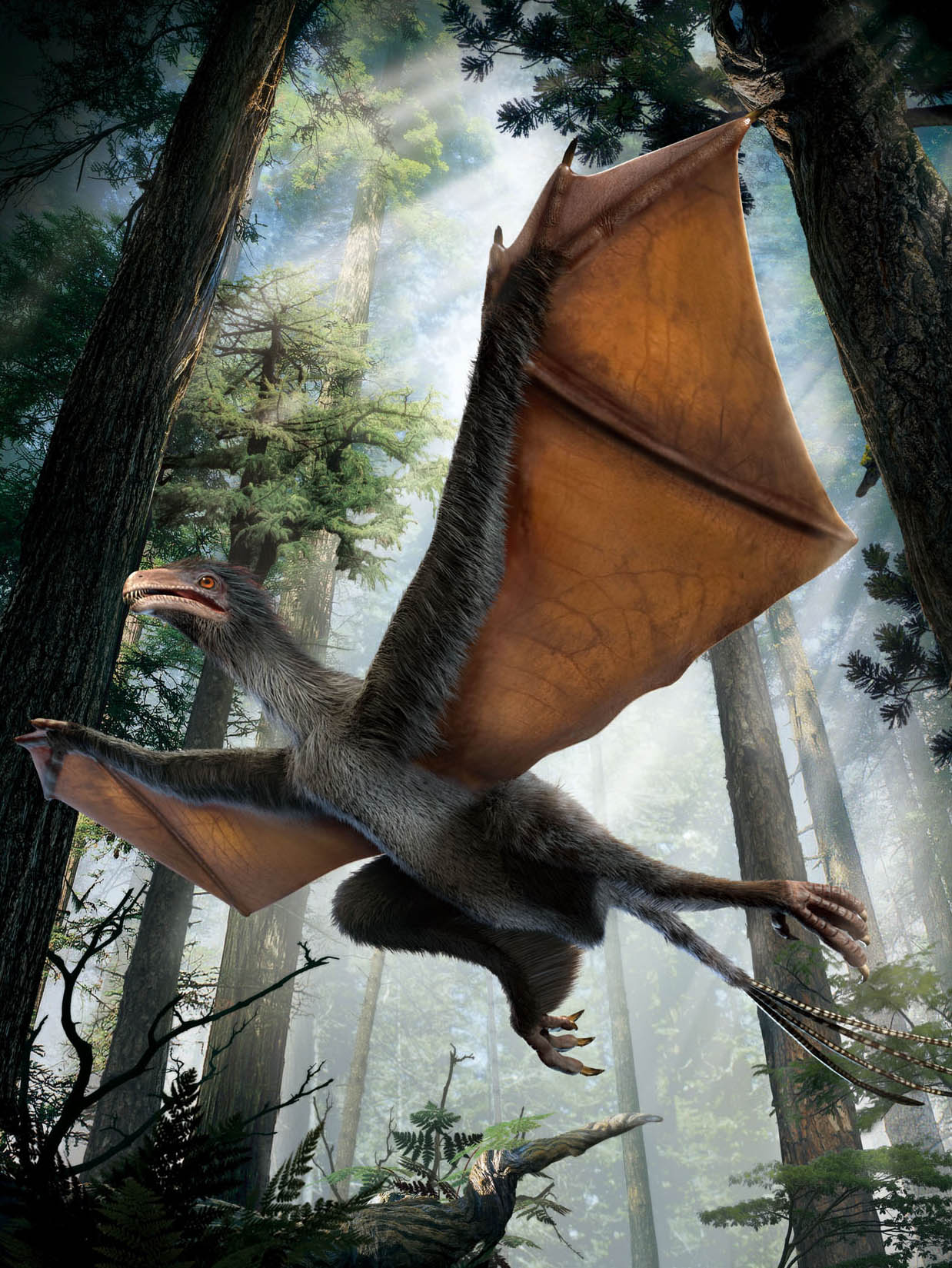 Tiny Chinese dinosaur sported unusual wings, fossil suggests