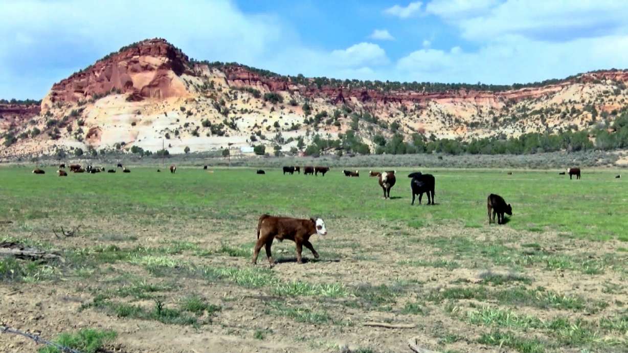 Resolution urges BLM, Forest Service relocation to Utah